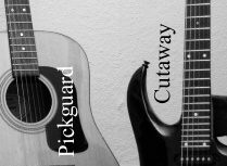 Darstellung von Pickguard und Cutaway